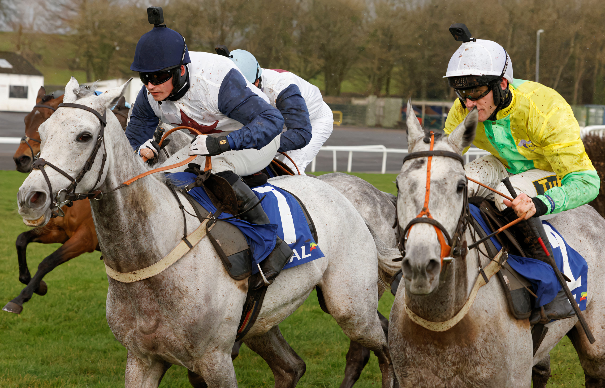 coral + jockey cam