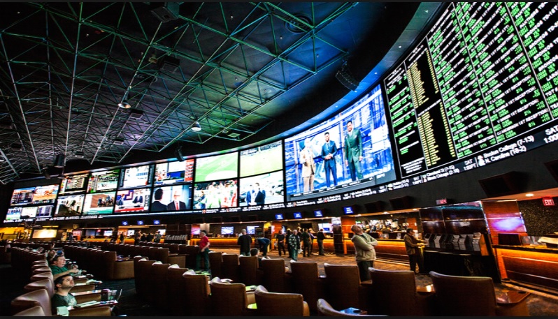 Usa Sports Book Image